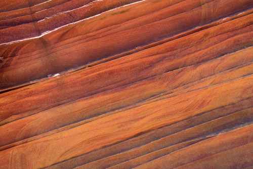 Southern Wave Sandstone Detail